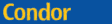 condor